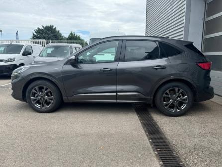 FORD Kuga 2.5 Duratec 190ch FHEV E85 ST-Line X BVA à vendre à Beaune - Image n°8