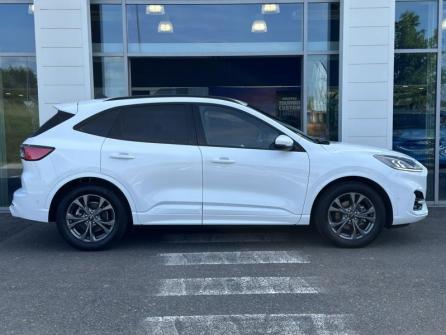 FORD Kuga 2.5 Duratec 190ch FHEV E85 ST-Line Business B à vendre à Gien - Image n°4